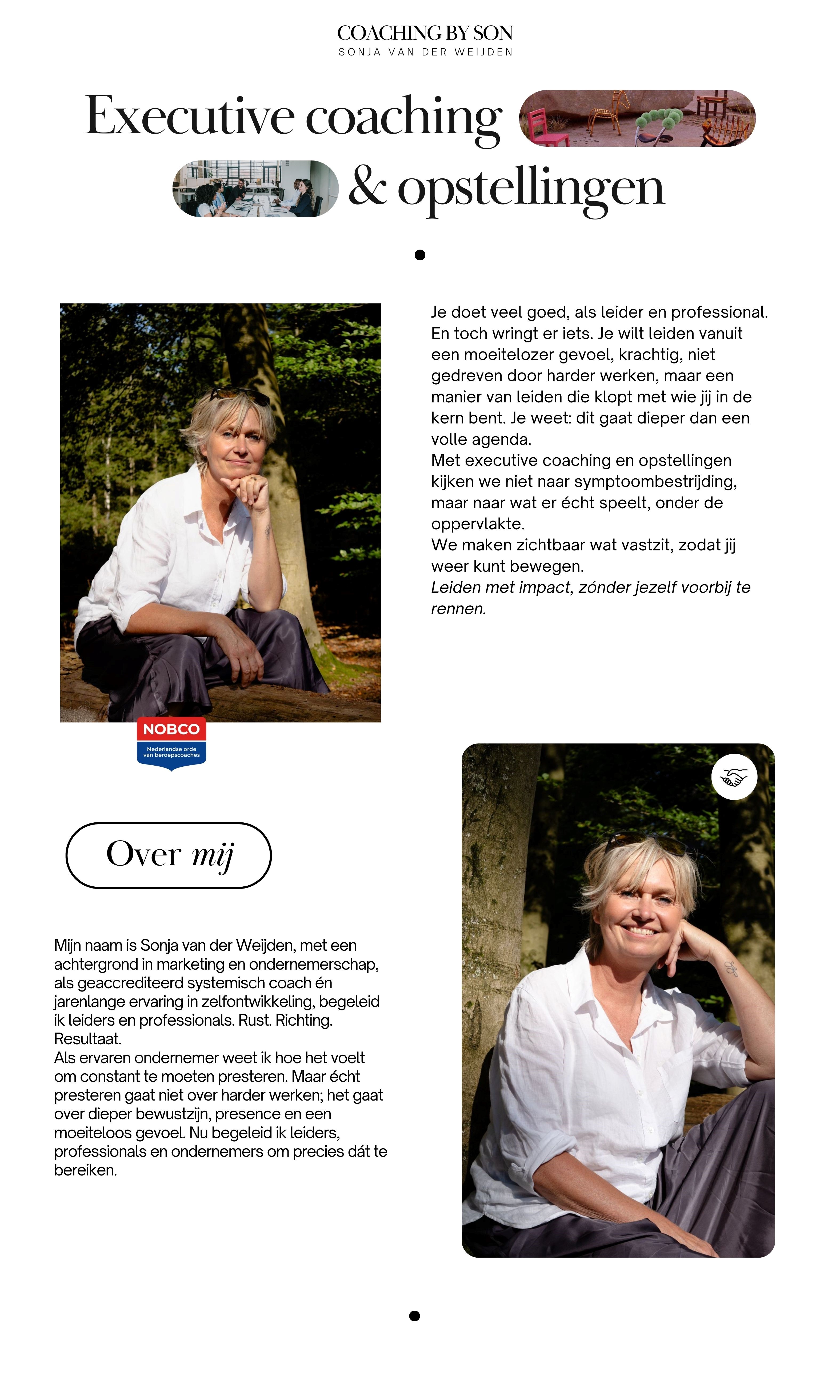 Flyer kompas 1, voorstellen